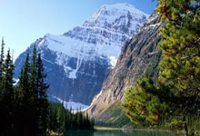 作为王者荣耀的粉丝